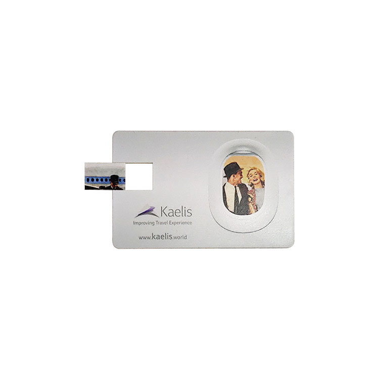 Full color printing card usb thumb drive LWU902